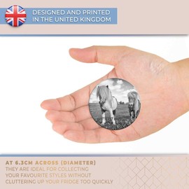 Destination Vinyl ltd Magnet for Refrigerator, Fridge BW - Shetland Ponies Horse Animals Cute for Office, Cabinet and Whiteboard, Magnetic Stickers, 41200