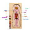 My Body Parts Puzzle for Toddlers Girls Boys Wooden Anatomy