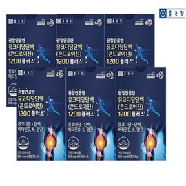 Chong Kun Dang Soyorae Chondroitin 1200 for joints Chondroitin 1200 60 tablets 6 months supply / 종근당 관절엔 소유래 콘드로이친 1200 콘트로이친1200 60정 6개월분