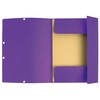 Exacompta Colorspan 55408E Elasticated Folder Cardboard 355 g/m² 24 x