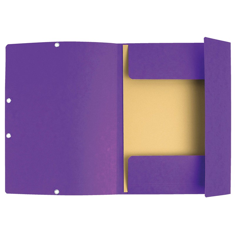 Exacompta Colorspan 55408E Elasticated Folder Cardboard 355 g/m² 24 x