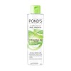 Agua Micelar Ponds Fruity Hydrafresh Aloe 300 ml