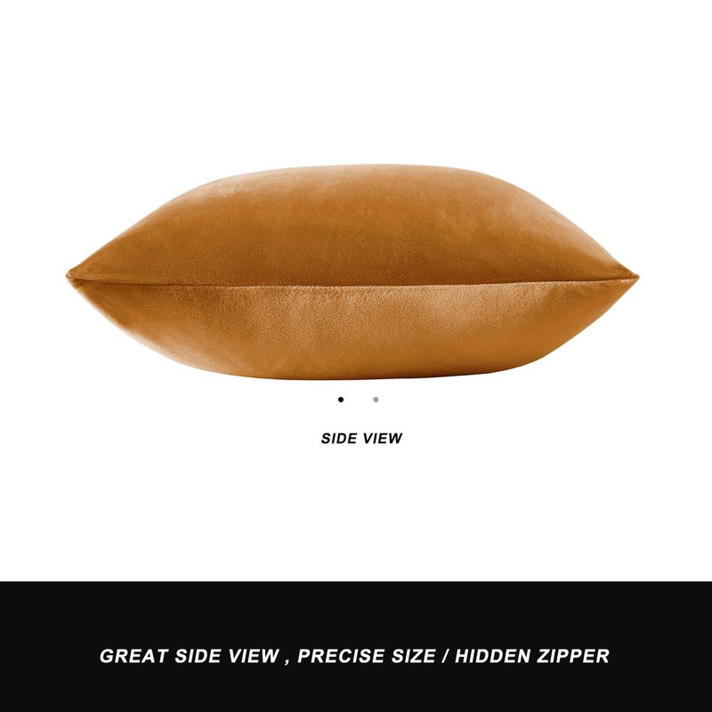 GIGIZAZA Cushion Covers, Cushion Cover Pack of 2 Velvet Decorative