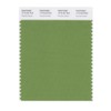 PANTONE Smart 17-0133X Color Swatch Card, Fluorite Green