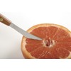 Norpro, Silver Twin Blades Grapefruit Knife, 8 inch
