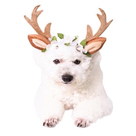 LERTREE Adjustable Christmas Pet Deer Antlers Headbands Dog Reindeer Head Band Elk Headwear Cosplay Costume for Cat Puppy Pet (Floral, L)