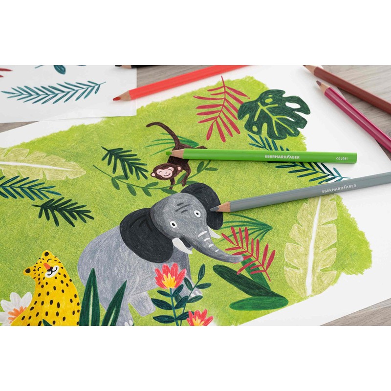 Eberhard Faber Colori 511425 Colouring Pencils Set, 24 Jumbo Colouring