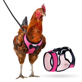 Yesito Yesito Chicken Harness Hen size with 6-foot Matching belt, Comfortable, Breathable, Small Size, Suitable for Chicken, Duck or Goose Suitable for Weight about 2.3-3.8Pounds, Green (Months, Pink)