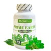 ChillTreat Prime Earth Series-Moringa Gummies-60 Gummies Serve 30 days-1000mg Moringa