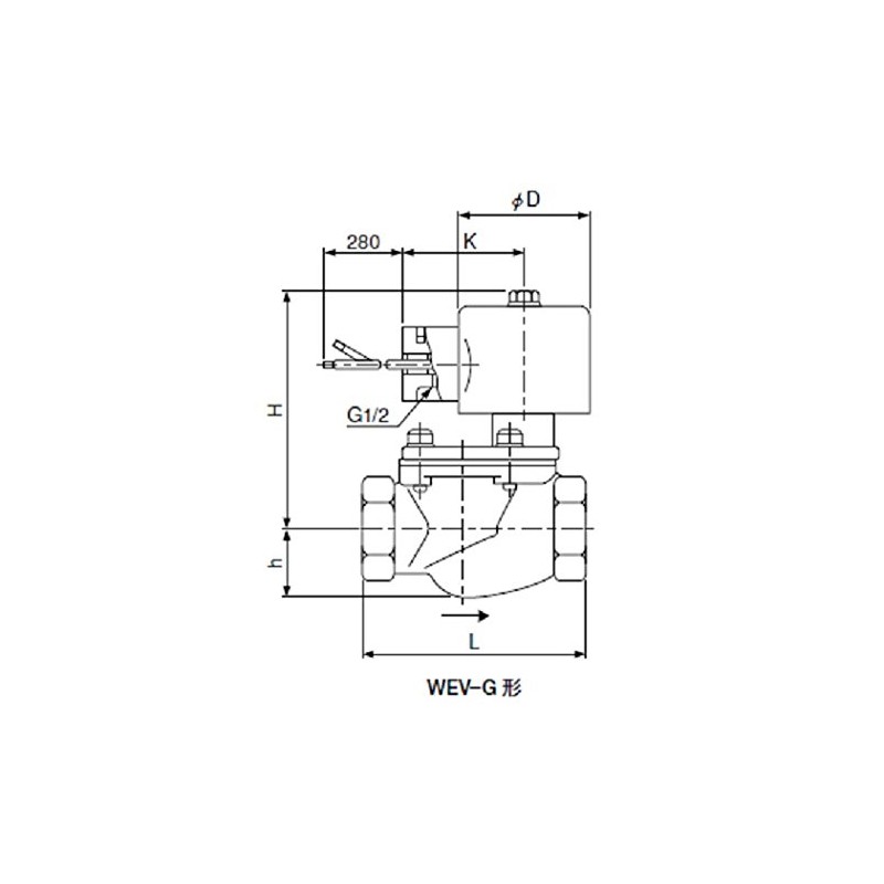 Saginomiya WEV-2006GLW Solenoid Valve for Water, 100V