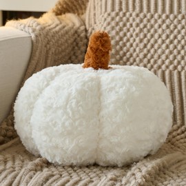 ZCNYCLAM Pumpkin Pillow, Fall Decorative Pillows for Couch, Pumpkin Plush Throw Pillows for Bed (White, 11 Inches)