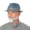 Stetson Rowlett Toyo Trilby, Sun Hat, Beach Hat, Summer Hat,