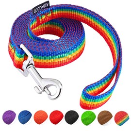 AMAGOOD 6 FT Puppy/ Dog Leash, Strong and Durable Traditional Style Leash with Easy to Use Collar Hook, Great for Small and Medium Dogs (3/4 in x 6 ft(Pack of 1), Rainbow)