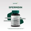 Pronat Spermidin Antioxidante Suplemento Alimenticio 60 Cápsulas – Con Germen