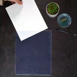 StoreSMART STORE SMART - Heavy Duty Vinyl Plastic Toploaders - Made in USA - 8" x 10"