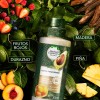 Crema para peinar rizos Herbal Essences Nutre e Hidrata Pequi