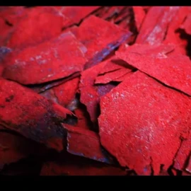 HOT Beef Jerky & SPICY Pickle 2-Pack – Bold Flavor Combo by Papá Nicho's Carne Seca