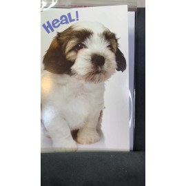 Unbranded Get Well Soon Greeting Card. Shih Tzu Puppy says Heal!
