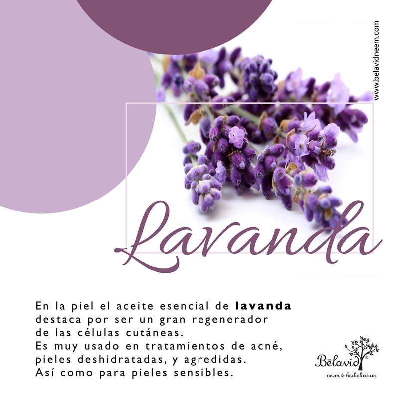 Tónico Facial y Jabon Artesanal Neem