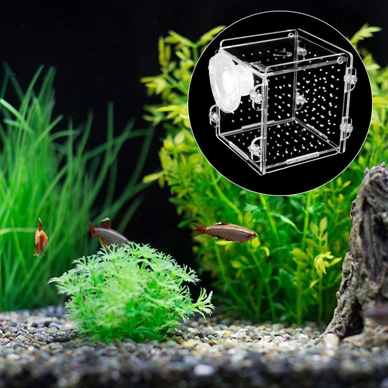 VOANZO Fish Breeding Box Transparent Acrylic Aquarium Isolation Box with