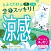 Tokiwa Shokai Kitami Peppermint Oil Containing Abdominal Shower Kitami Peppermint Scent 10 Pieces, 1 Piece / 도키와 상회 키타미 박하오일 함유 복부 샤워 키타미 박하 향 10매입, 1개