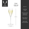 Viski Angled Prosecco Sparkling Wine Glasses, Crystal Clear Long Stemmed