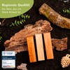Holzheld - Elegant Wood Carving Set, 8-Piece Made from German