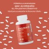 B-FIT B Enzimas Digestivas 90 Cápsulas 45 Porciones Enzymas Blend