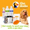 The Dodo Tearless Deodorizing Shampoo for Dogs, Summer Citrus with