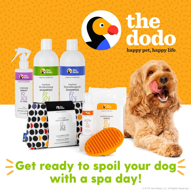 The Dodo Tearless Deodorizing Shampoo for Dogs, Summer Citrus with