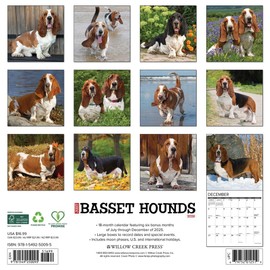 Basset Hounds 2026 12" x 12" Wall Calendar