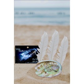 Wish Feathers 4 Piece Gift Set Includes 3 Feathers, Sage, Crystal, and Shell