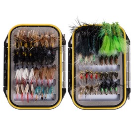 BASSDASH Fly Fishing Assorted Flies Kit, Pack of 64 pcs Fly Lure Including Dry Flies, Wet Flies, Nymphs, Streamers, Terrestrials and More, with Double-Side Waterproof Fly Box