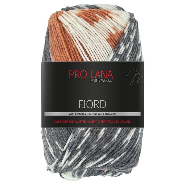 Frida's Wollhaus Pro Lana 100 g Fjord Norwegian Pattern Gradient