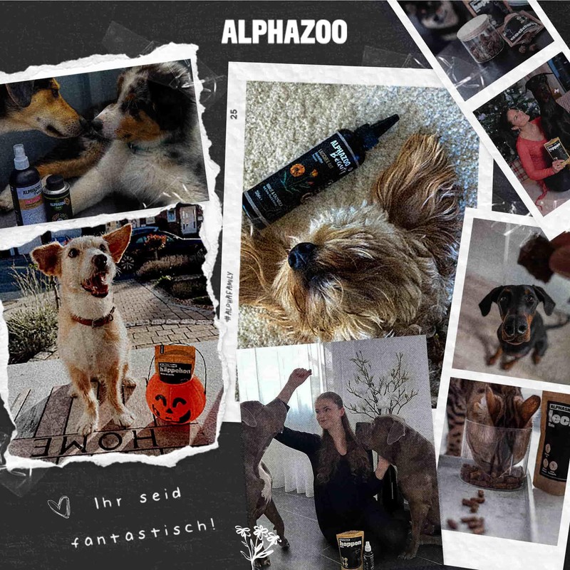 alphazoo Gastrointestinal Liquid Early Bird 100 ml Dog & Cat