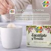 Therbal Té de Eucalipto & Tomillo (Té de eucalipto y