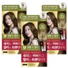 Elastine Salon de Color & Gray Dyeing Cream, Ash Brown, 3 pieces / 엘라스틴 살롱 드 컬러 앤 새치 염색 크림, 애쉬브라운, 3개