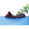 BROOKSIDE Dark Chocolate Acai and Blueberry Flavors, 21 Ounces, 2/BD