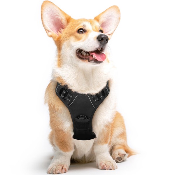 Generic Dog Harness, No-Pull Pet Harness with 2 Leash Clips,