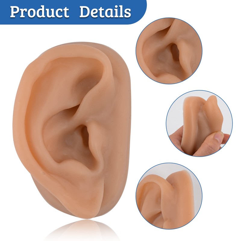 SimCoach Modelo de oreja de acupuntura, réplica de oreja artificial