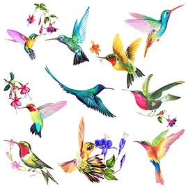 20 Pieces Large Size Hummingbird Window Hummingbird Decals for Window Anti-Collision Window Clings Decals to Prevent Bird Strikes on Window Glass Non Adhesive Vinyl Cling Hummingbird Stickers