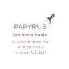 PAPYRUS Everyday Card, 1 EA