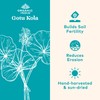 ORGANIC INDIA Gotu Kola Herbal Supplement - Adaptogen for Brain