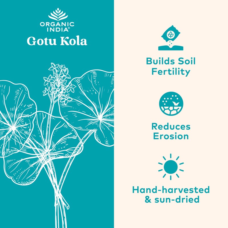 ORGANIC INDIA Gotu Kola Herbal Supplement - Adaptogen for Brain