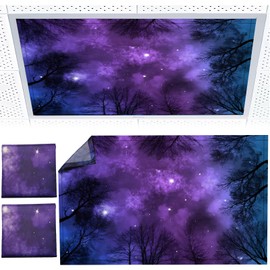 Torixqi 2pcs Fluorescent Light Covers - Light Covers for Ceiling Lights Classroom, Magnetic Light Filters for Office, Hospitals, Home 4 x 2 Feet (purple nebula)