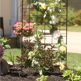 American Garden Works STNMB Narrow Screen Trellis, Black 64.25"H