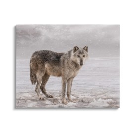 Stupell Industries Lone Coyote Wolf Snowy Field Landscape Intricate Details Canvas Wall Art, Design By Kelley Parker