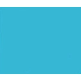 co 50 BRIGHT BLUE 24 LB PRINTER PAPER INVITATION SCHOOL PROJECT POSTER FLYER