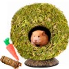 Coconut Hamster Hideout Hamster House Gerbil Cage for Small Animals