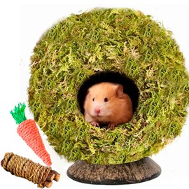 Coconut Hamster Hideout Hamster House Gerbil Cage for Small Animals with a Bundle of Apple Sticks a Carrot (Yellow)